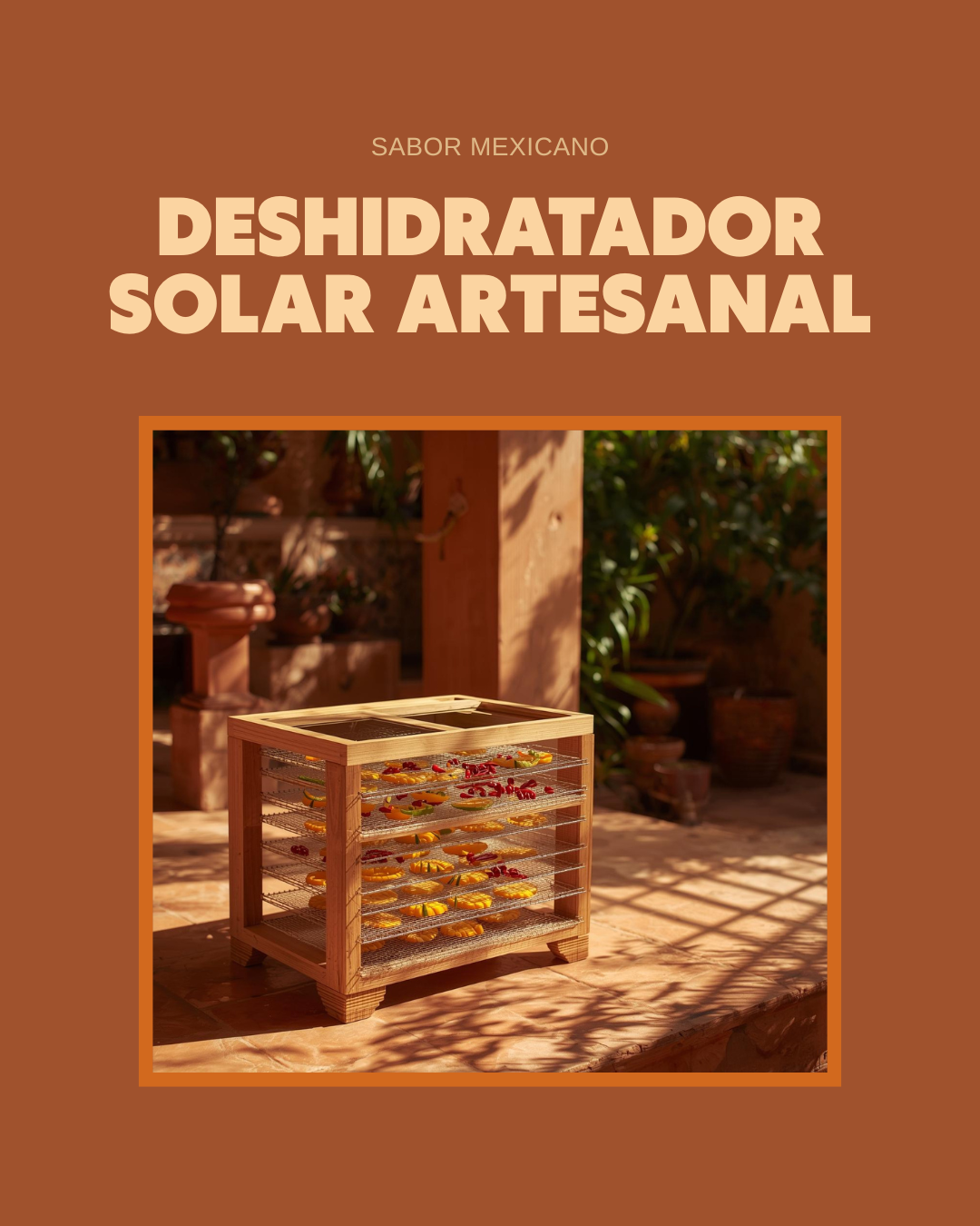 deshidratador-solar-artesanal-tzenzontle-mexico.jpg