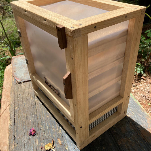 deshidratador solar alimentos eco tecnología