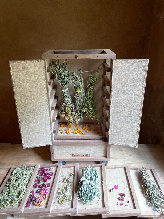 deshidrata hierbas y flores con tzenzontle