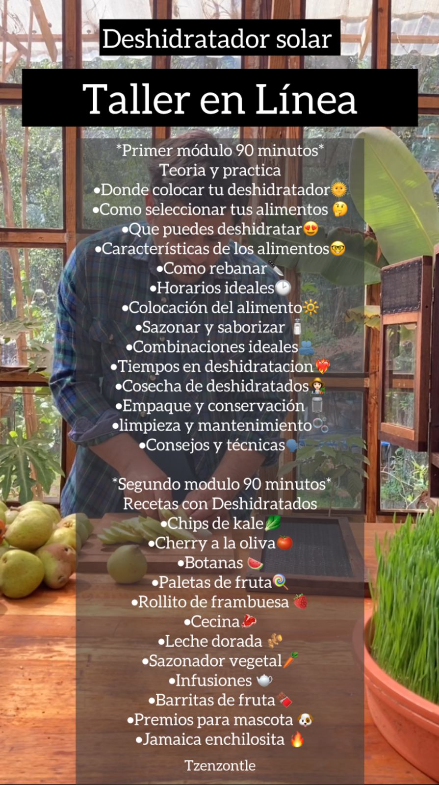 Taller online en VIVO Deshidrata en Casa